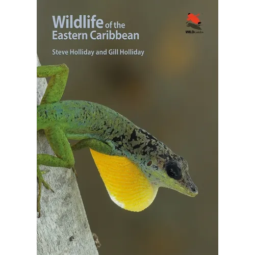 Wildlife of the Eastern Caribbean