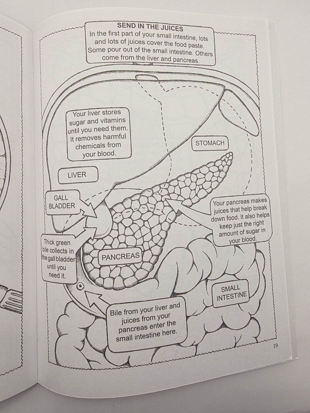 My First Human Body Book Silver & Wynne Dover Coloring Book Science Kids (New)