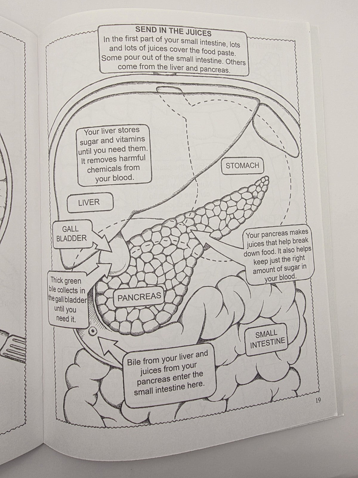 My First Human Body Book Silver & Wynne Dover Coloring Book Science Kids (New)
