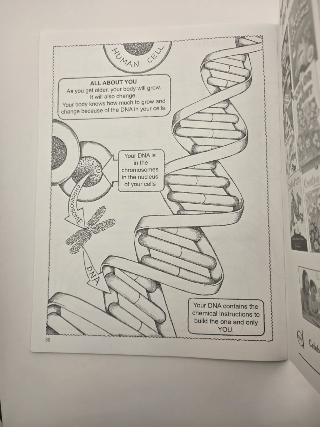 My First Human Body Book Silver & Wynne Dover Coloring Book Science Kids (New)