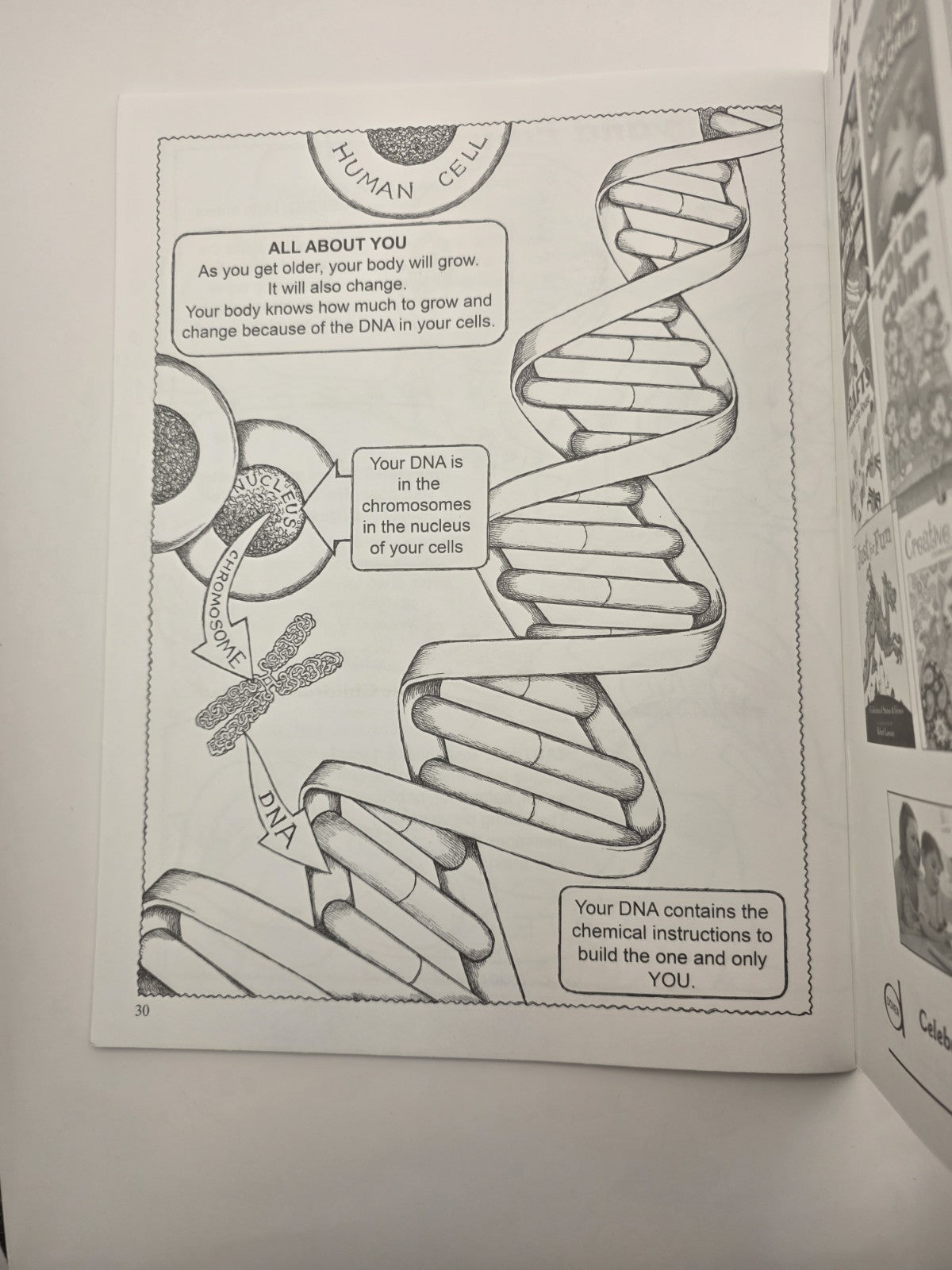 My First Human Body Book Silver & Wynne Dover Coloring Book Science Kids (New)