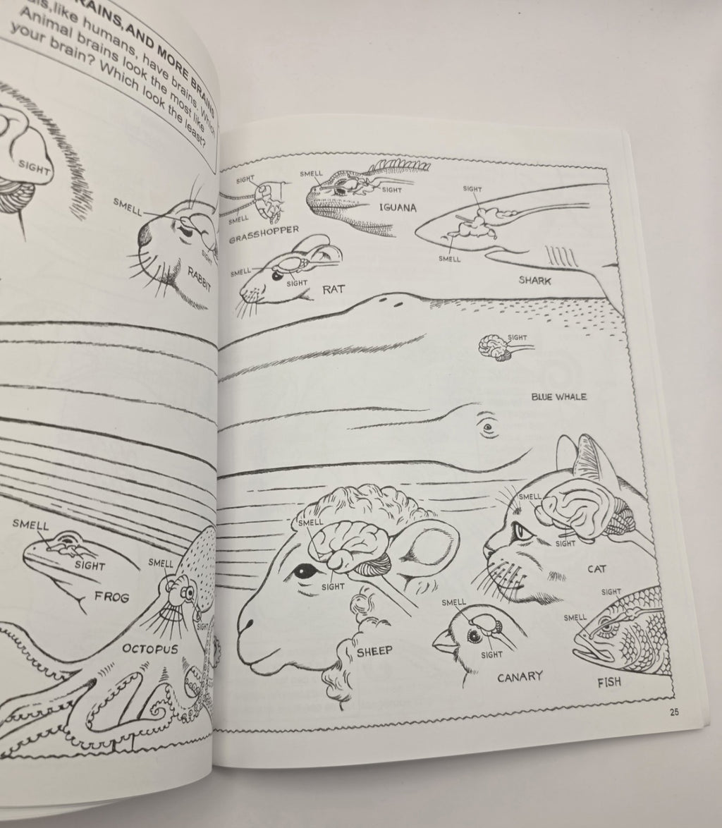 My First Book About: Five Senses Activity Coloring Book Illustrated Paperback