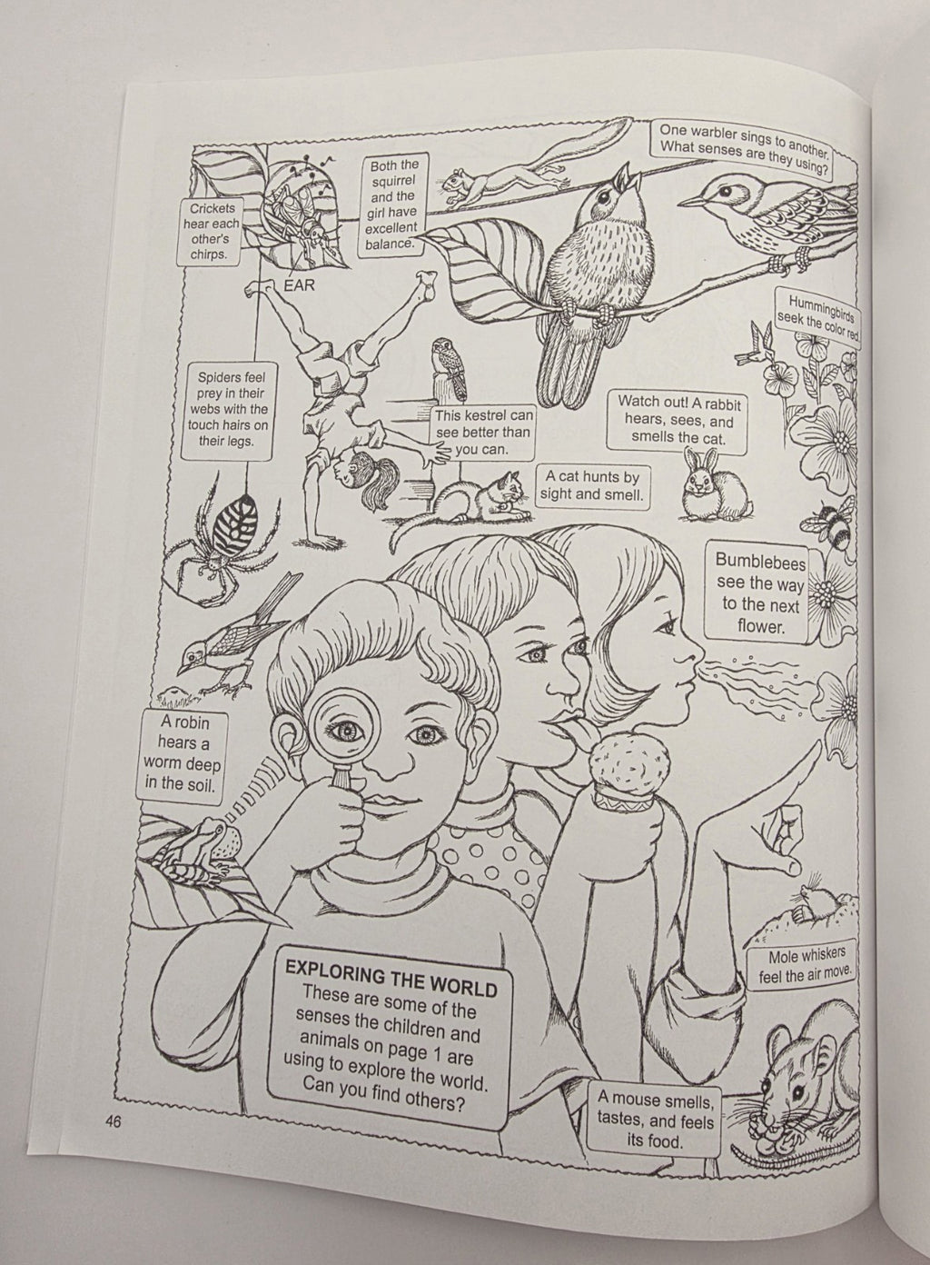 My First Book About: Five Senses Activity Coloring Book Illustrated Paperback