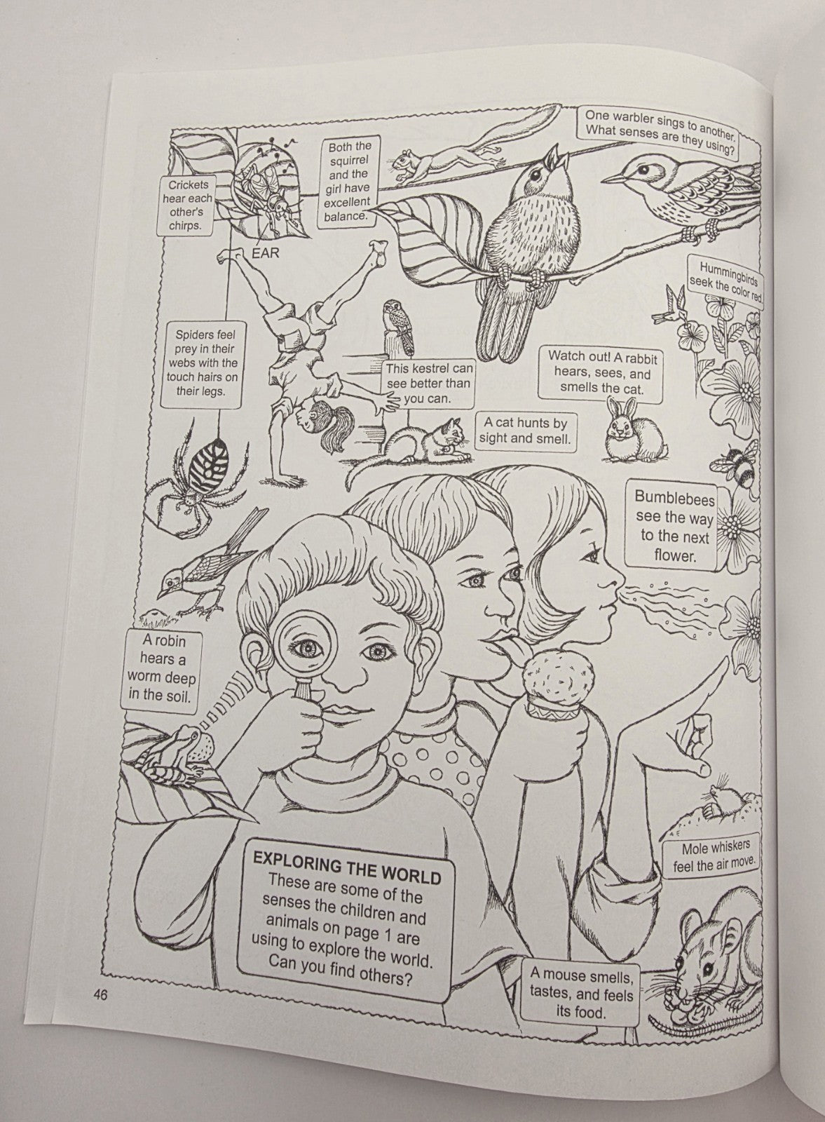 My First Book About: Five Senses Activity Coloring Book Illustrated Paperback