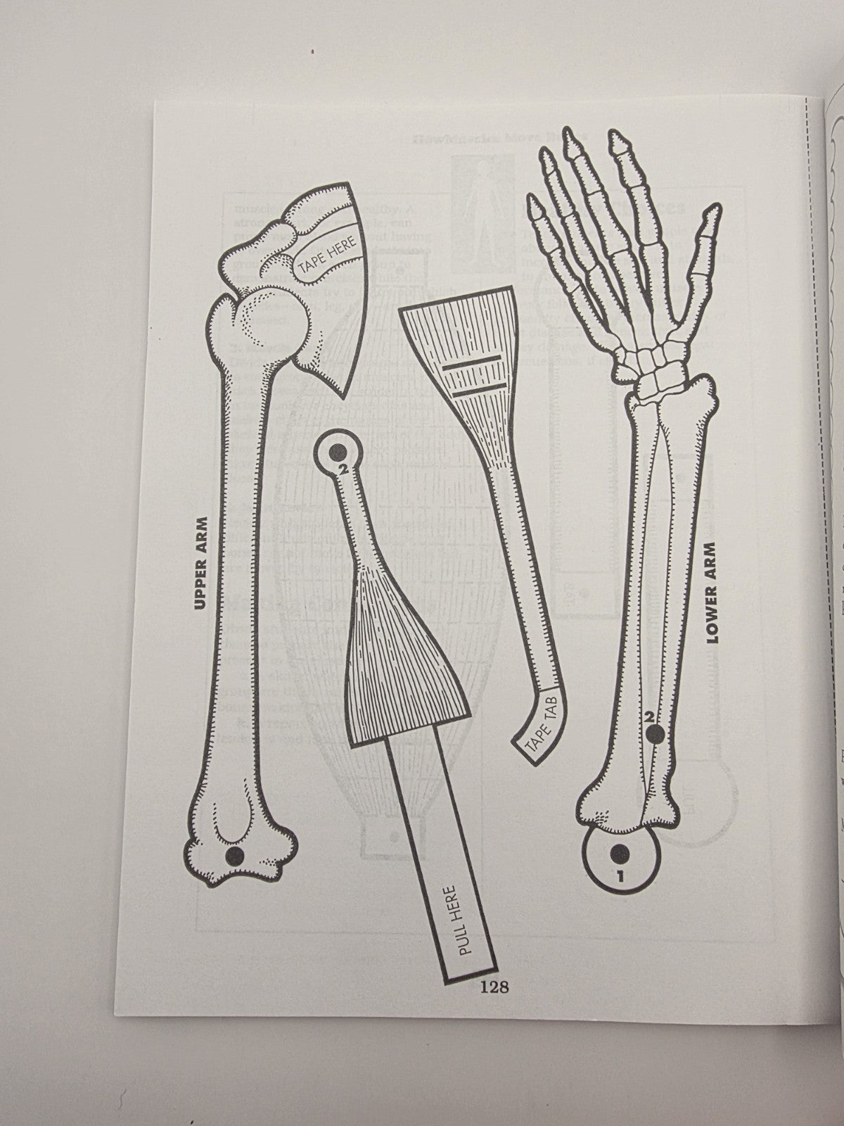 Scholastic The Body Book Easy-to-Make Hands-on Models That Teach (New)