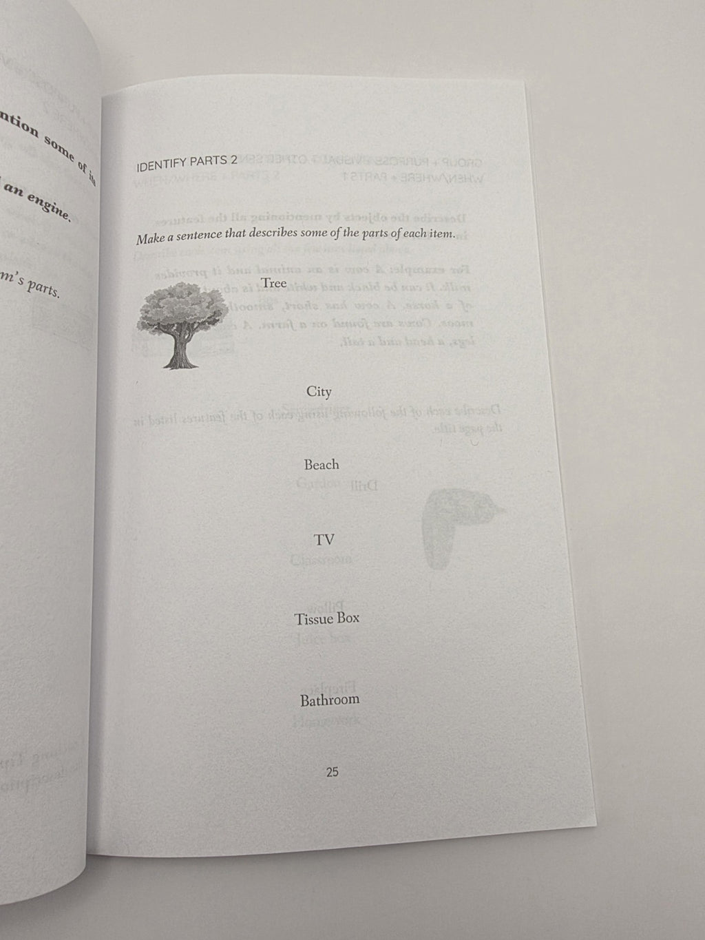 Happy Frog Press Describing Skills for Kids Autism & Asperger's Six-Minute (New)