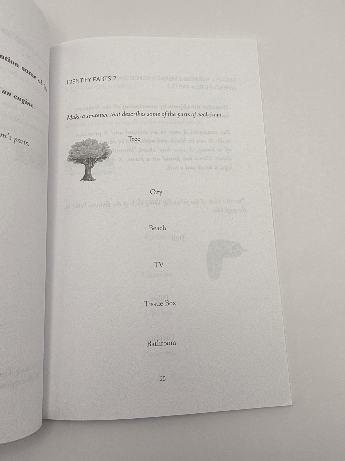 Happy Frog Press Describing Skills for Kids Autism & Asperger's Six-Minute (New)