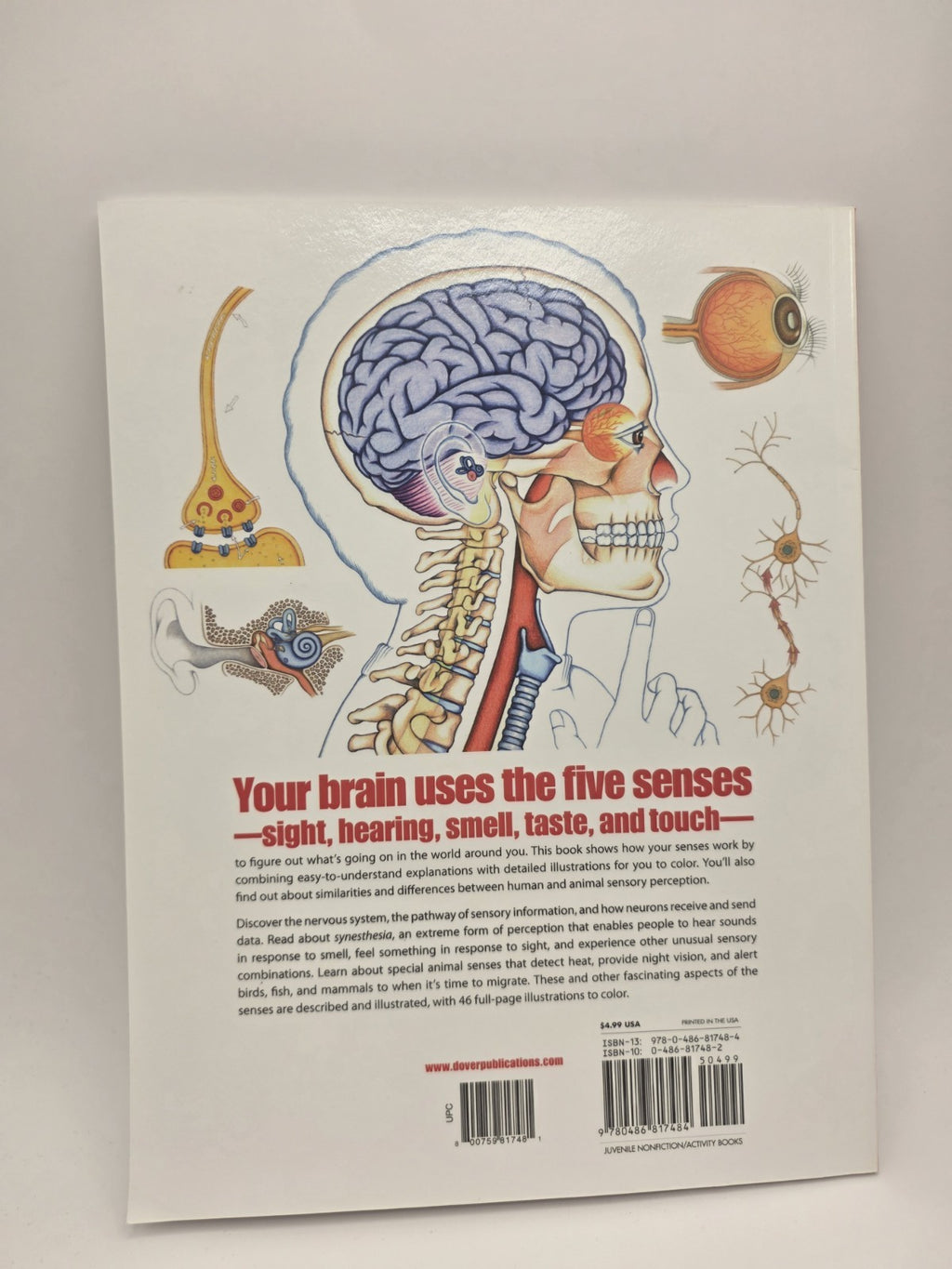 My First Book About: Five Senses Activity Coloring Book Illustrated Paperback
