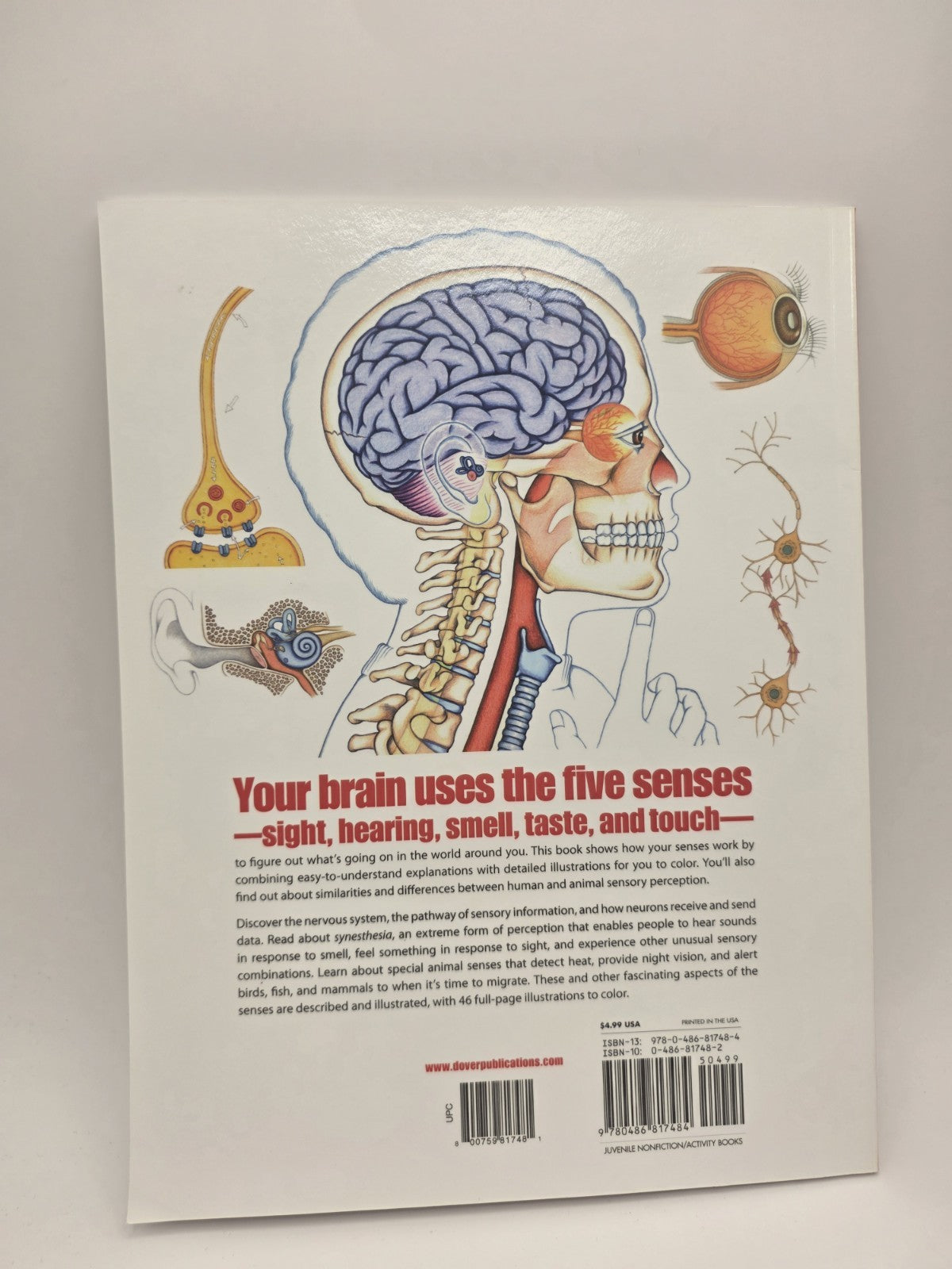 My First Book About: Five Senses Activity Coloring Book Illustrated Paperback