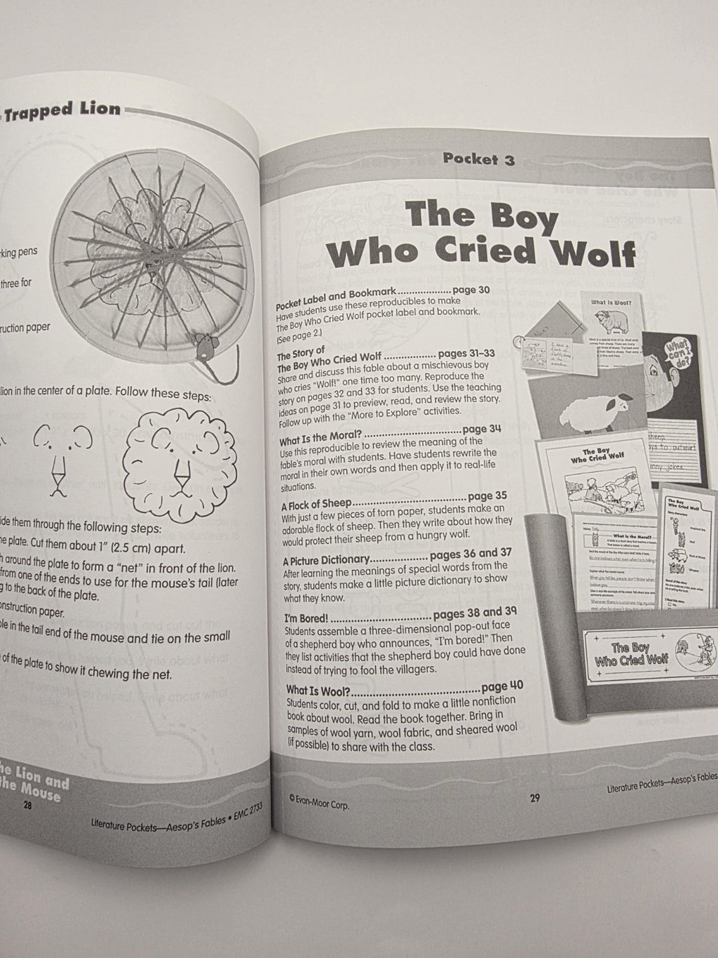 Evan-Moor Literature Pockets Aesop's Fables Workbook 96pg (New)