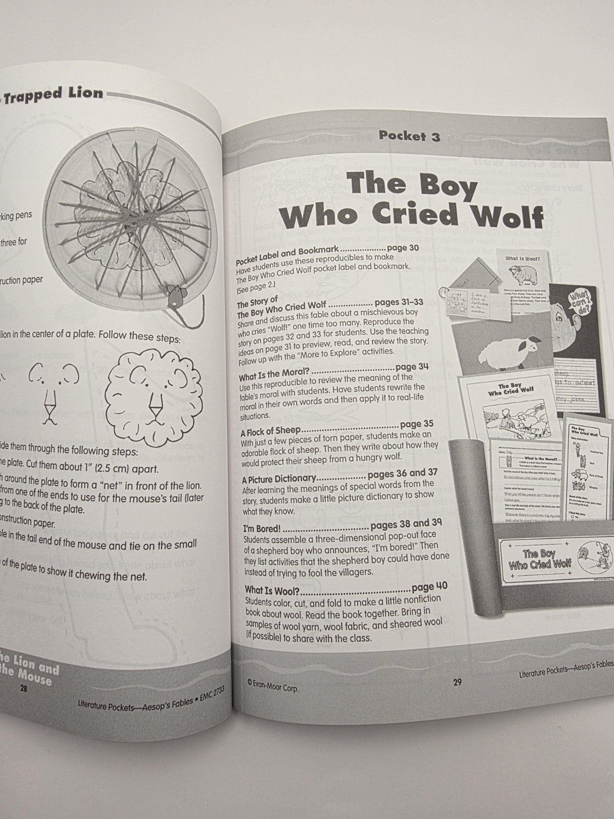 Evan-Moor Literature Pockets Aesop's Fables Workbook 96pg (New)