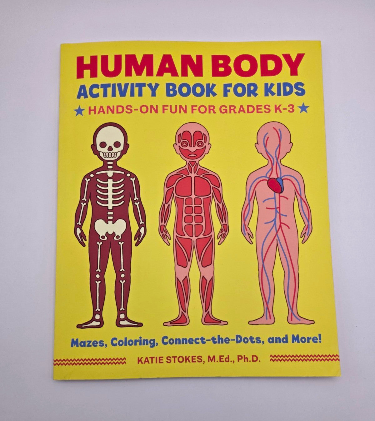 Katie Stokes Human Body Activity Book for Kids Paperback (New)