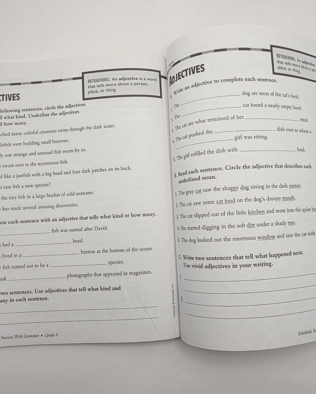 Scholastic Success With Grammar Grade 4 Workbook (New)
