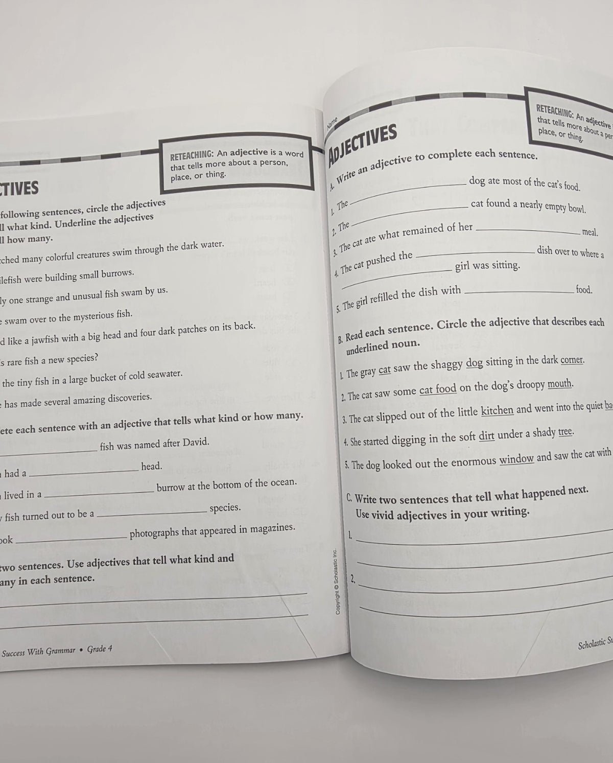 Scholastic Success With Grammar Grade 4 Workbook (New)