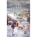 Ten Days in Town: Christian Christmas Romance