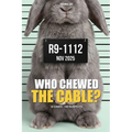ANIMALIBI - Who Chewed the Cable?: A Full-Color Whodunit for Rabbit Lovers. 100 Adorable Suspects, 10 Cases, One Guilty Rabbit.