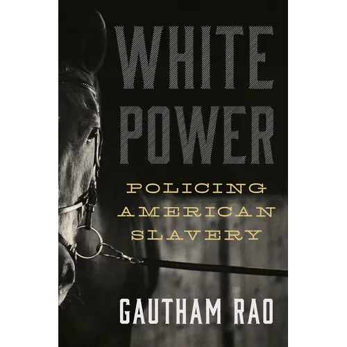 White Power: Policing American Slavery