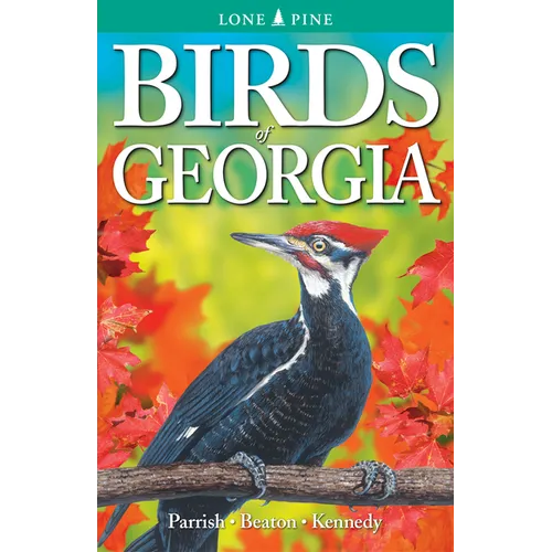 Birds of Georgia