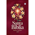 SANTA BIBLIA - REINA VALERA 1909 (Spanish Edition)