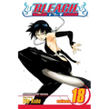 Bleach, Vol. 18: The Deathberry Returns