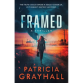 Framed: A Thriller