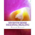Seventh Sense Imaginal Healing: An homage to Dr. Richard Bartlett, Benjamin Bibb, Barbara Ann Brennan, Donna Eden, Dr. Meg Blackburn Losey, Dr. Gerald