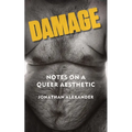 Damage: Notes on a Queer Aesthetic
