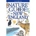 Nature Guide to New England