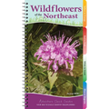 Wildflowers of the Northeast: Your Way to Easily Identify Wildflowers