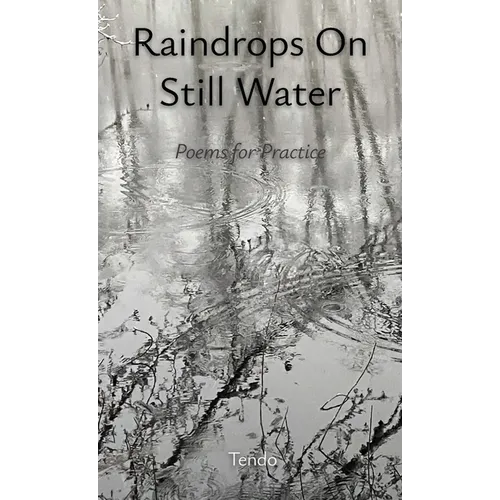 Raindrops on Still Water: Poems for Practice