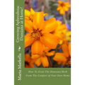Growing Aphrodisiac Damiana at Home!