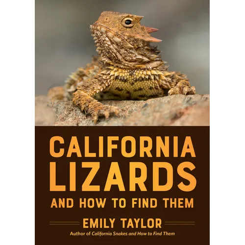 California Lizards and How to Find Them