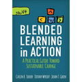 Blended Learning in Action: A Practical Guide Toward Sustainable Change
