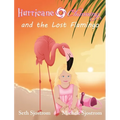 Hurricane Channing and the Lost Flamingo