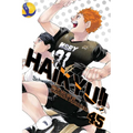 Haikyu!!, Vol. 45: Challengers