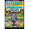 Scottsdale Sleuth: a fun, romantic, thrilling, adventure...
