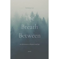 The Breath Between: An Invitation to Mystery and Joy