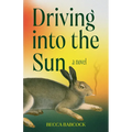 Driving Into the Sun
