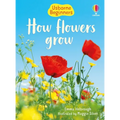 How Flowers Grow